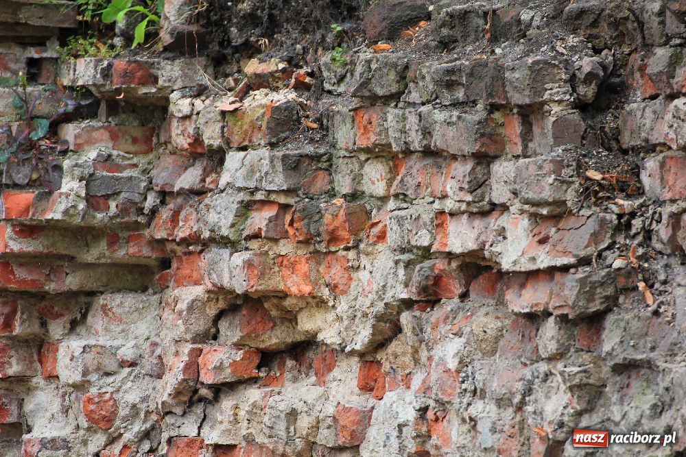 Zdjęcie w galerii na portalu naszraciborz.pl: Ciekawe odkrycia w Ekonomiku wiadomości z regionu
