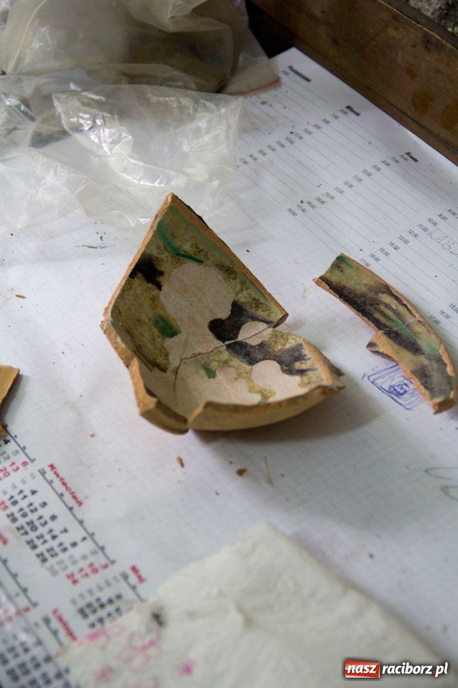 Zdjęcie w galerii na portalu naszraciborz.pl: Ciekawe odkrycia w Ekonomiku wiadomości z regionu