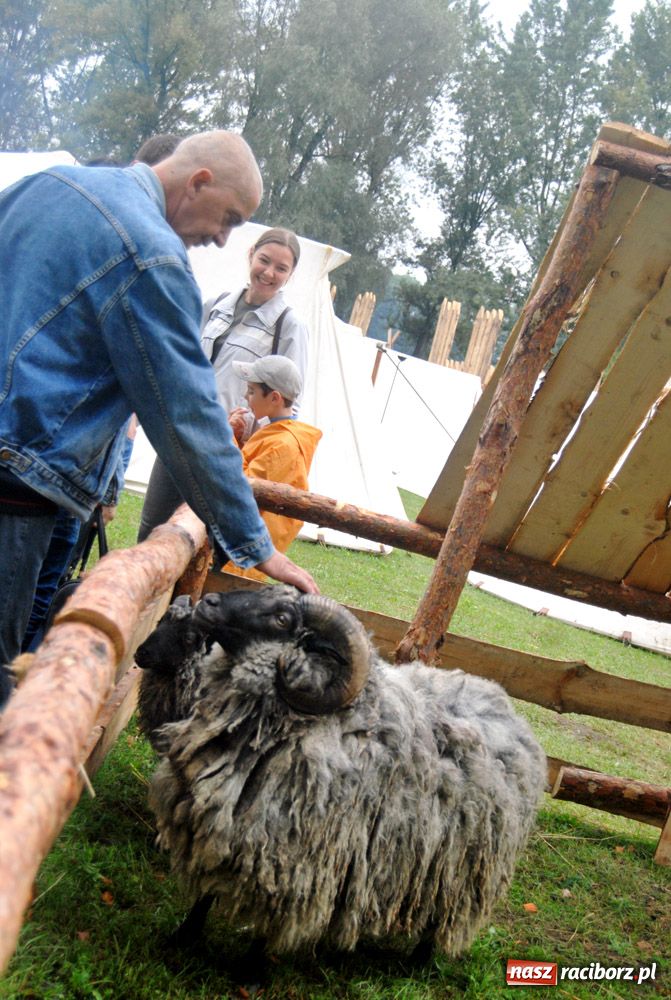 Zdjęcie w galerii na portalu naszraciborz.pl: Siła rycerstwa zjechała do Raciborza wiadomości z regionu