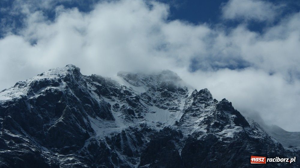 Zdjęcie w galerii na portalu naszraciborz.pl: Monte Cevedale - raciborzanie w Alpach wiadomości z regionu
