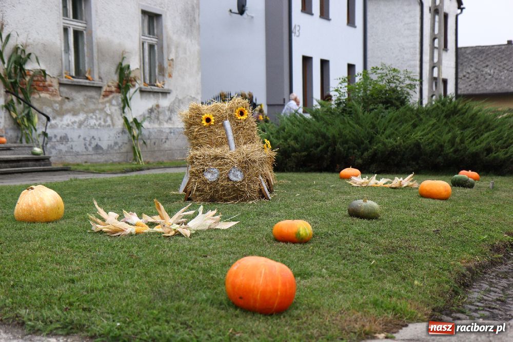 Zdjęcie w galerii na portalu naszraciborz.pl: Dożynki Gminne w Cyprzanowie wiadomości z regionu