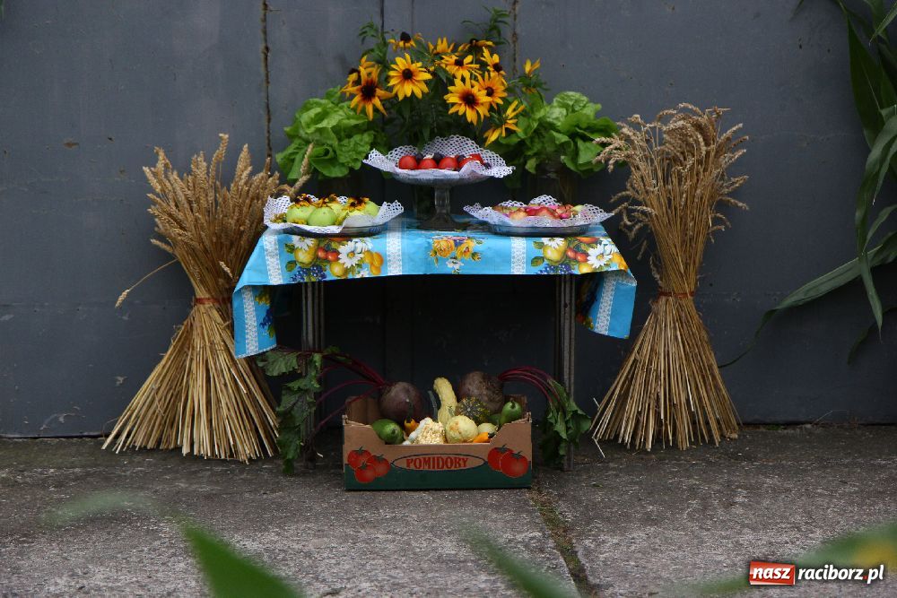 Zdjęcie w galerii na portalu naszraciborz.pl: Dożynki Gminne w Cyprzanowie wiadomości z regionu