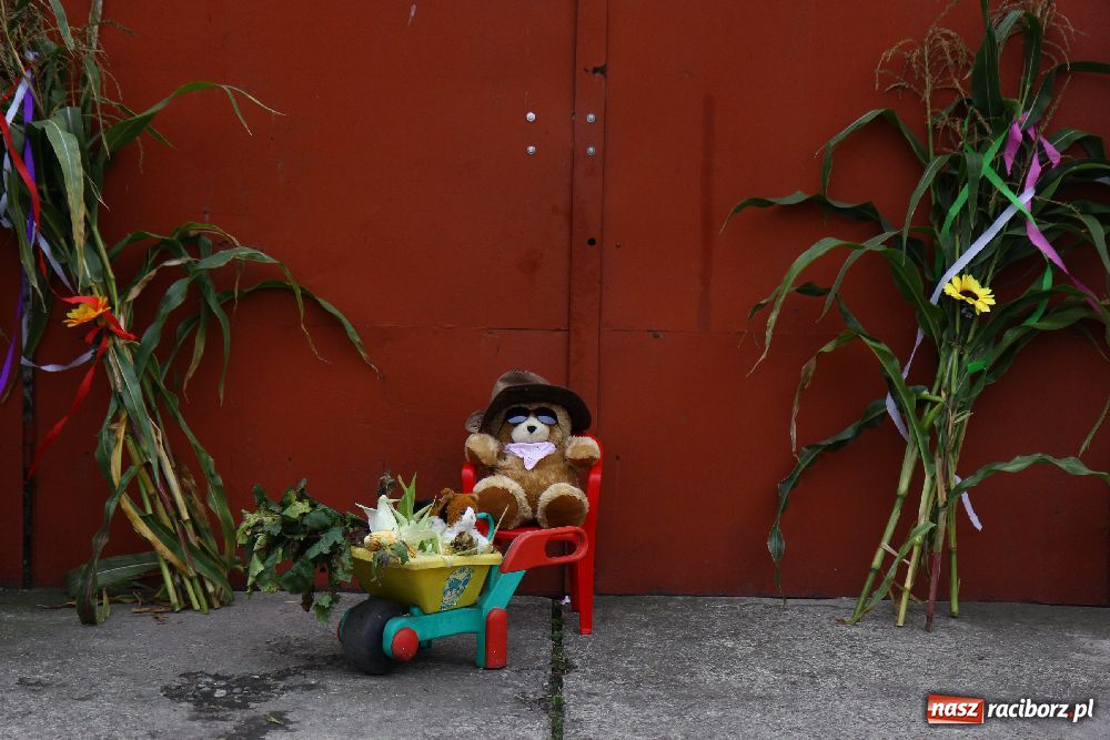 Zdjęcie w galerii na portalu naszraciborz.pl: Dożynki Gminne w Cyprzanowie wiadomości z regionu