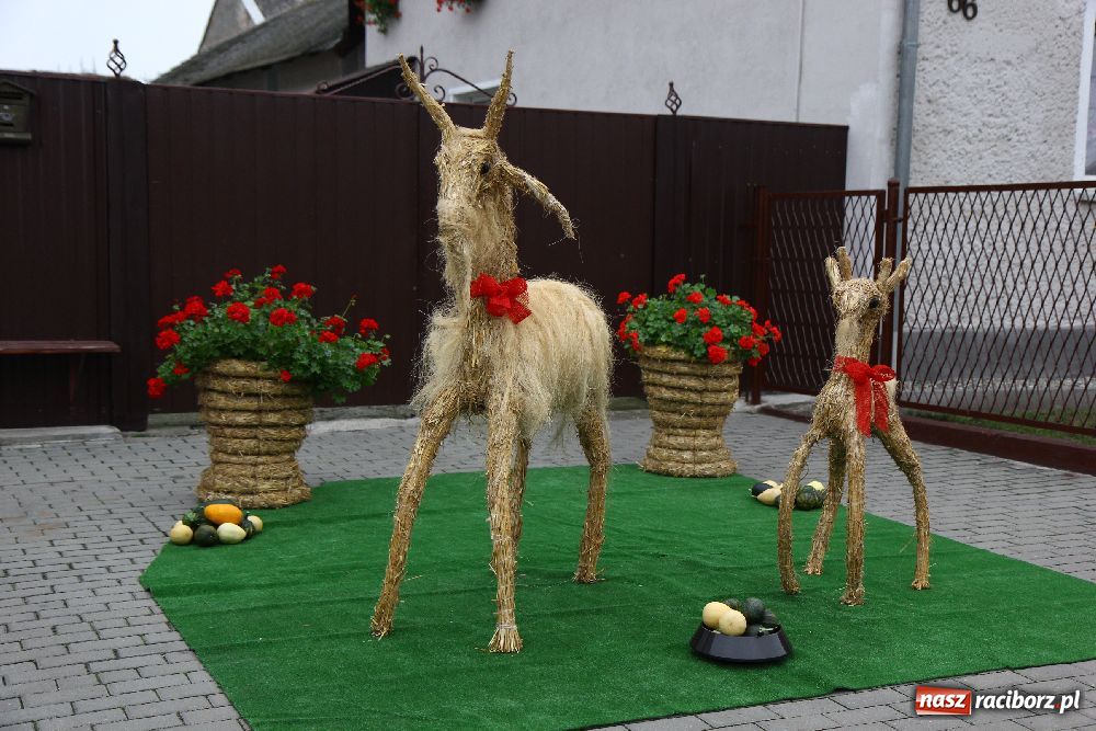 Zdjęcie w galerii na portalu naszraciborz.pl: Dożynki Gminne w Cyprzanowie wiadomości z regionu