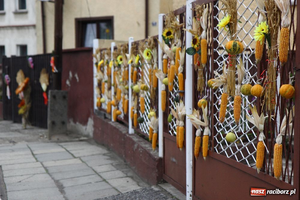 Zdjęcie w galerii na portalu naszraciborz.pl: Dożynki Gminne w Cyprzanowie wiadomości z regionu