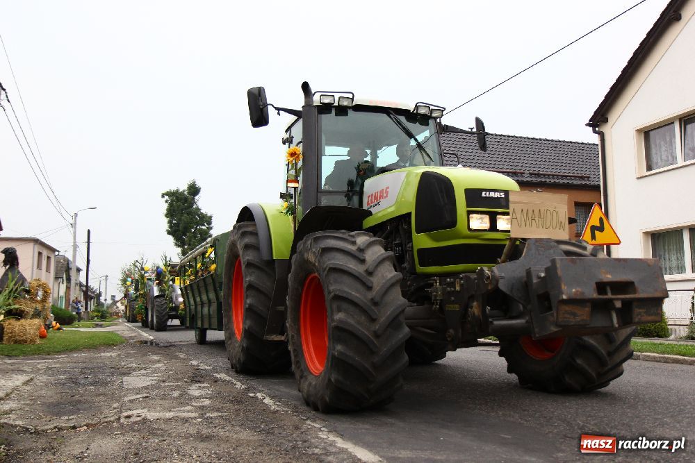 Zdjęcie w galerii na portalu naszraciborz.pl: Dożynki Gminne w Cyprzanowie wiadomości z regionu