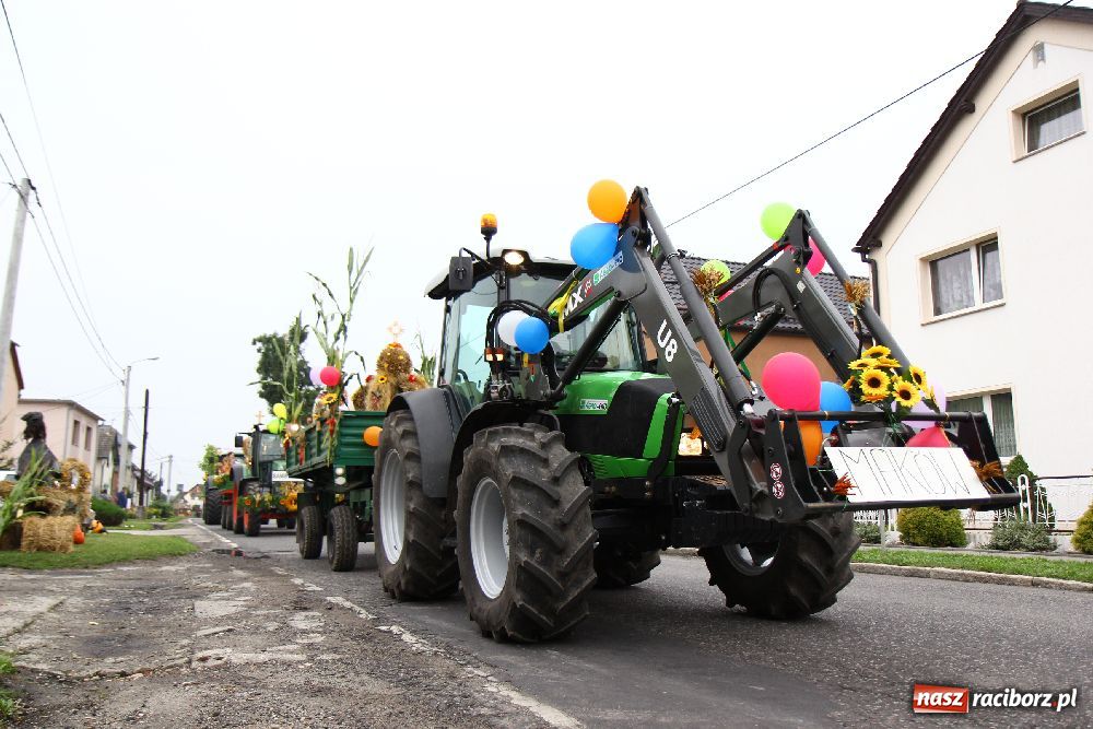 Zdjęcie w galerii na portalu naszraciborz.pl: Dożynki Gminne w Cyprzanowie wiadomości z regionu