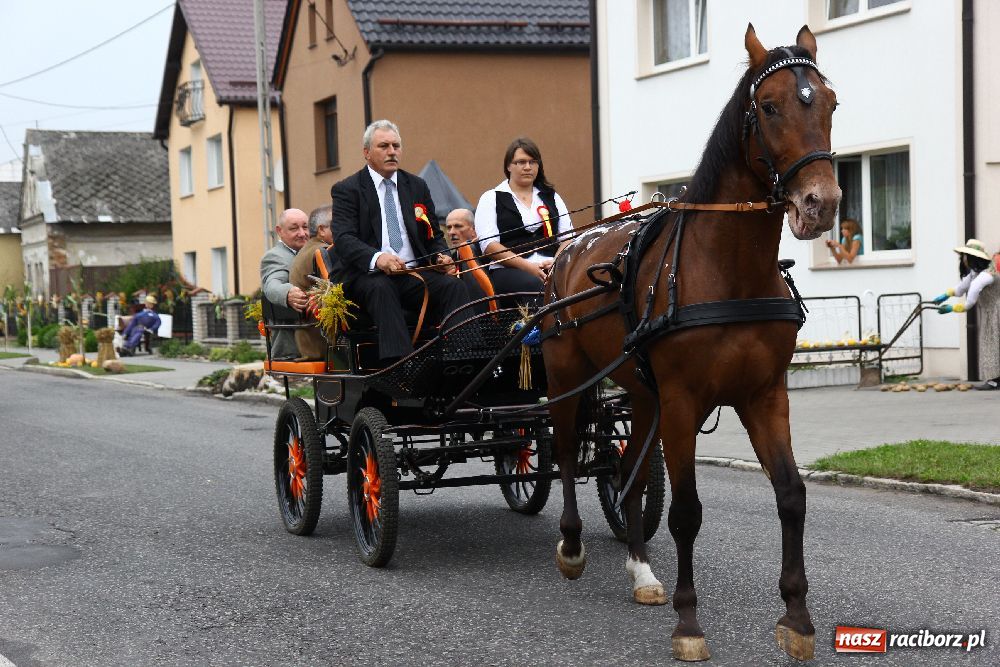 Zdjęcie w galerii na portalu naszraciborz.pl: Dożynki Gminne w Cyprzanowie wiadomości z regionu