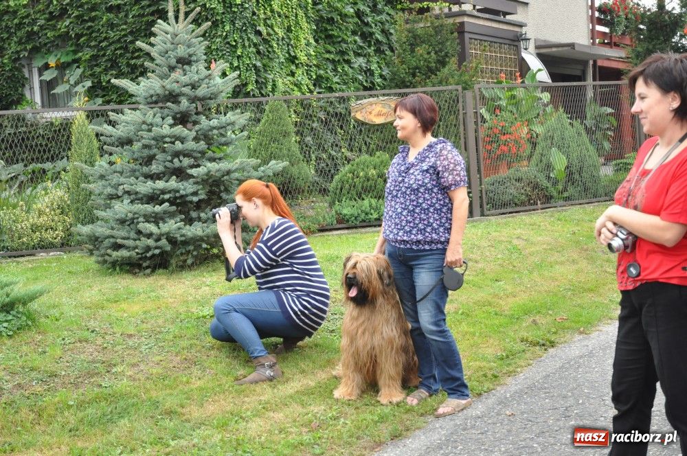 Zdjęcie w galerii na portalu naszraciborz.pl: Gminne święto plonów w Rudach wiadomości z regionu