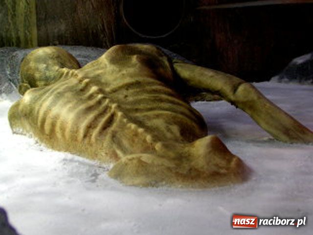 Zdjęcie w galerii na portalu naszraciborz.pl: Raciborskie zwłoki. Dylemat etyczny wiadomości z regionu