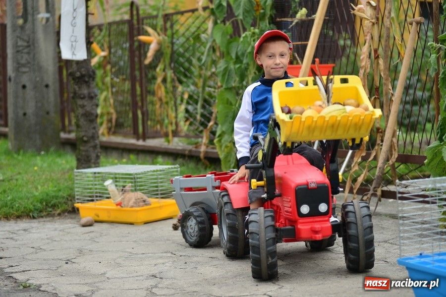 Zdjęcie w galerii na portalu naszraciborz.pl: Kolorowo i wesoło w Wojnowicach wiadomości z regionu