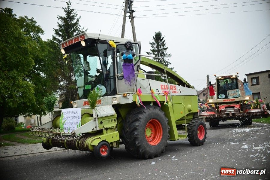 Zdjęcie w galerii na portalu naszraciborz.pl: Kolorowo i wesoło w Wojnowicach wiadomości z regionu