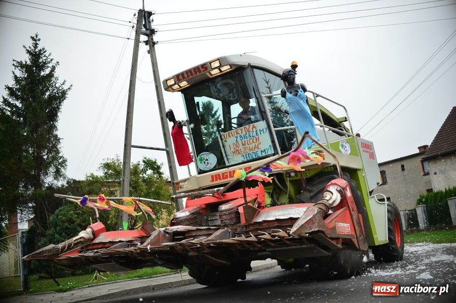 Zdjęcie w galerii na portalu naszraciborz.pl: Kolorowo i wesoło w Wojnowicach wiadomości z regionu