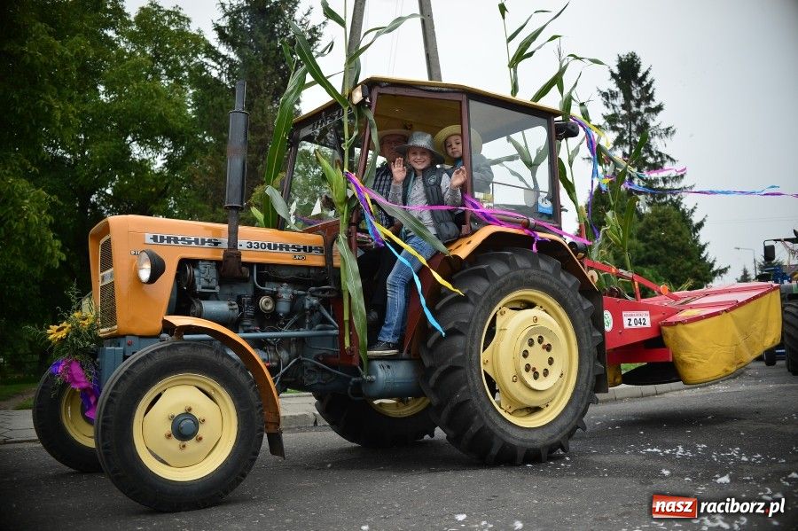 Zdjęcie w galerii na portalu naszraciborz.pl: Kolorowo i wesoło w Wojnowicach wiadomości z regionu