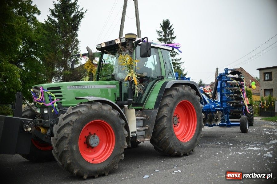 Zdjęcie w galerii na portalu naszraciborz.pl: Kolorowo i wesoło w Wojnowicach wiadomości z regionu