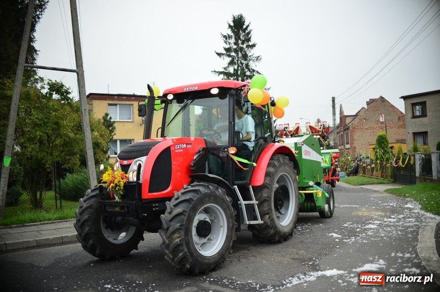 Zdjęcie w galerii na portalu naszraciborz.pl: Kolorowo i wesoło w Wojnowicach wiadomości z regionu