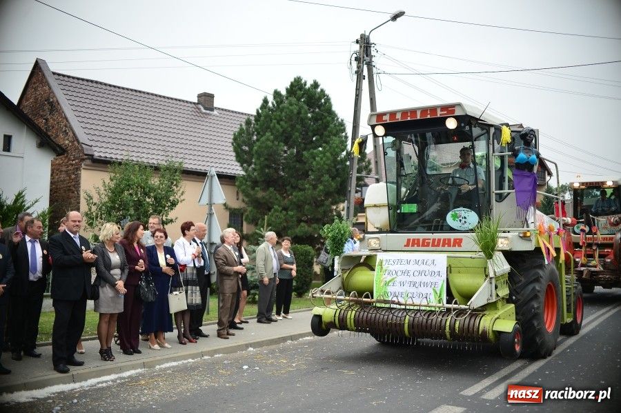 Zdjęcie w galerii na portalu naszraciborz.pl: Kolorowo i wesoło w Wojnowicach wiadomości z regionu