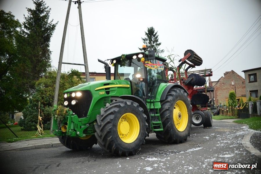 Zdjęcie w galerii na portalu naszraciborz.pl: Kolorowo i wesoło w Wojnowicach wiadomości z regionu