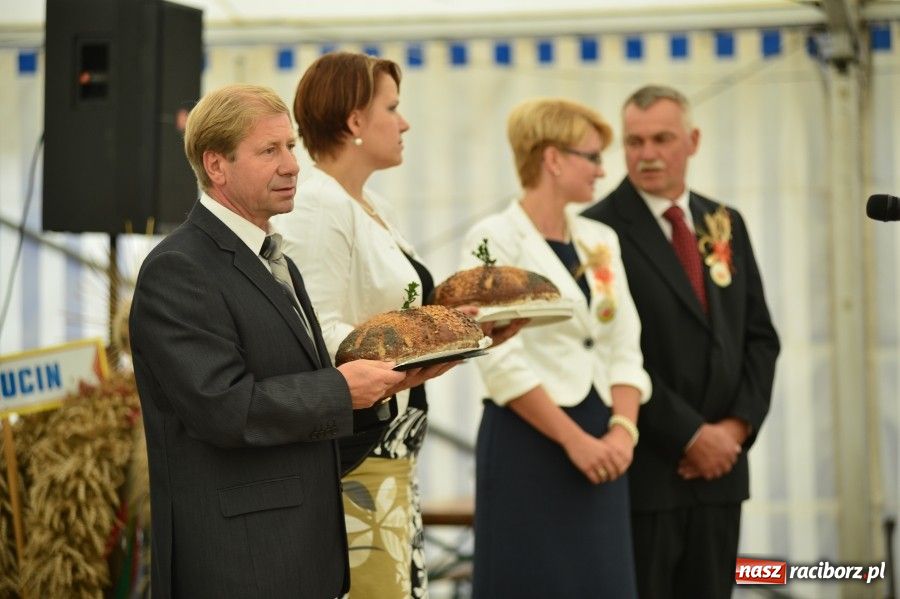 Zdjęcie w galerii na portalu naszraciborz.pl: Kolorowo i wesoło w Wojnowicach wiadomości z regionu