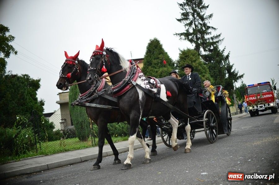 Zdjęcie w galerii na portalu naszraciborz.pl: Kolorowo i wesoło w Wojnowicach wiadomości z regionu