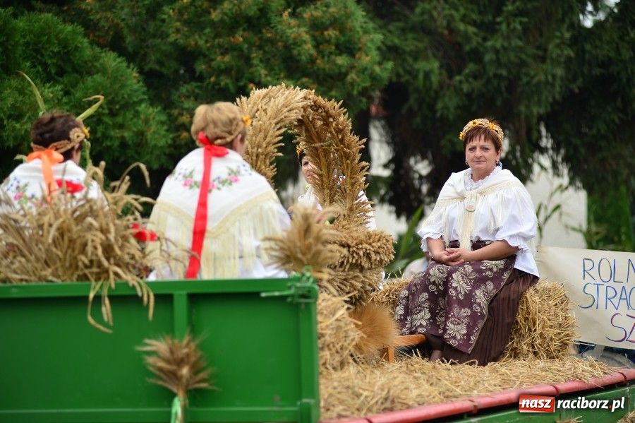 Zdjęcie w galerii na portalu naszraciborz.pl: Kolorowo i wesoło w Wojnowicach wiadomości z regionu