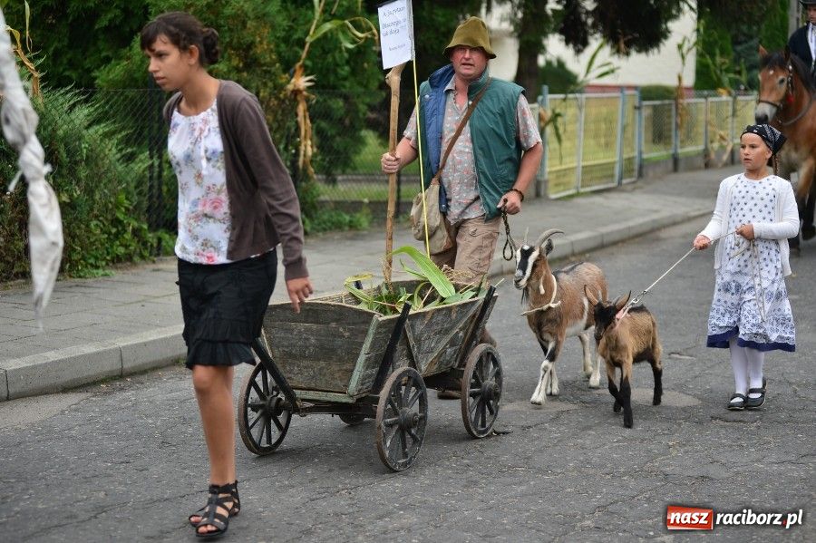 Zdjęcie w galerii na portalu naszraciborz.pl: Kolorowo i wesoło w Wojnowicach wiadomości z regionu