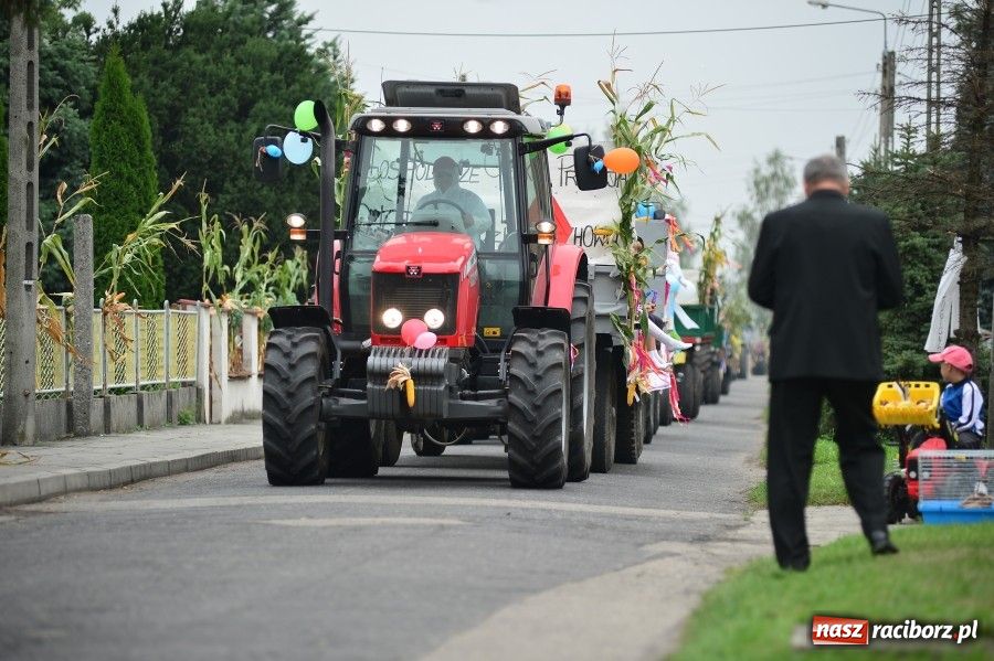 Zdjęcie w galerii na portalu naszraciborz.pl: Kolorowo i wesoło w Wojnowicach wiadomości z regionu