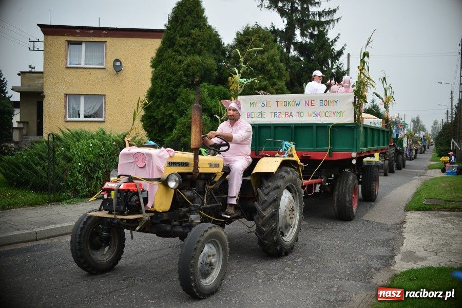 Zdjęcie w galerii na portalu naszraciborz.pl: Kolorowo i wesoło w Wojnowicach wiadomości z regionu