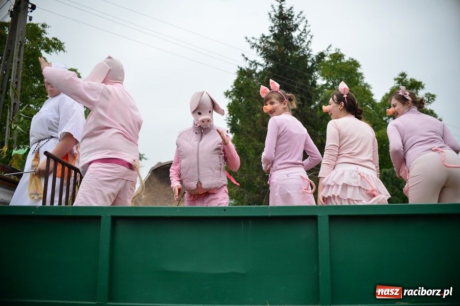 Zdjęcie w galerii na portalu naszraciborz.pl: Kolorowo i wesoło w Wojnowicach wiadomości z regionu