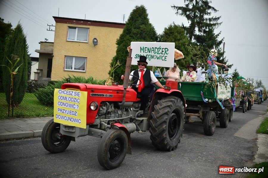 Zdjęcie w galerii na portalu naszraciborz.pl: Kolorowo i wesoło w Wojnowicach wiadomości z regionu