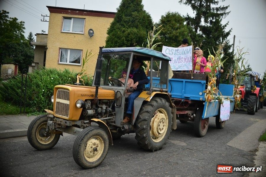 Zdjęcie w galerii na portalu naszraciborz.pl: Kolorowo i wesoło w Wojnowicach wiadomości z regionu