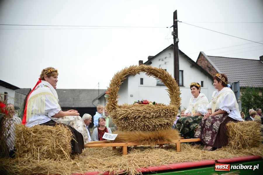 Zdjęcie w galerii na portalu naszraciborz.pl: Kolorowo i wesoło w Wojnowicach wiadomości z regionu