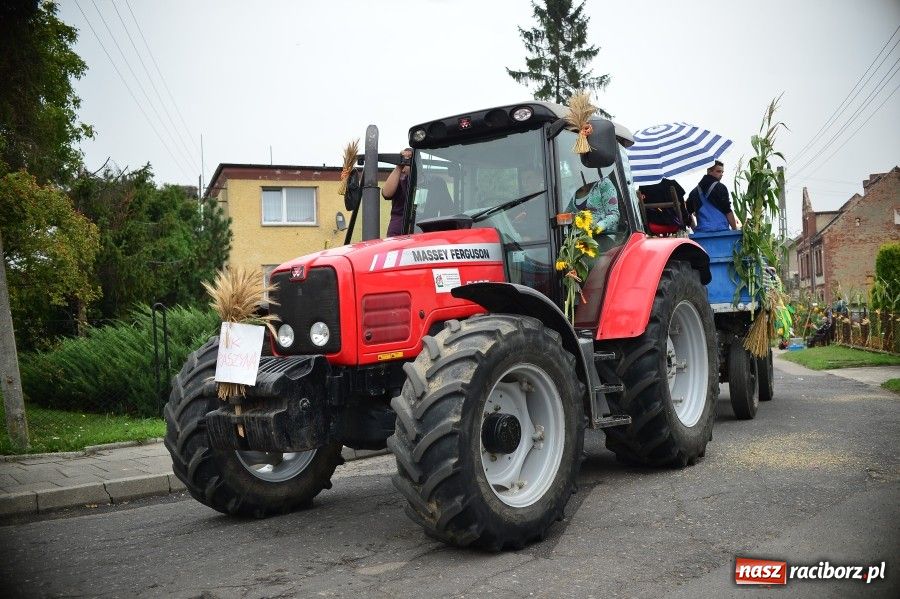 Zdjęcie w galerii na portalu naszraciborz.pl: Kolorowo i wesoło w Wojnowicach wiadomości z regionu