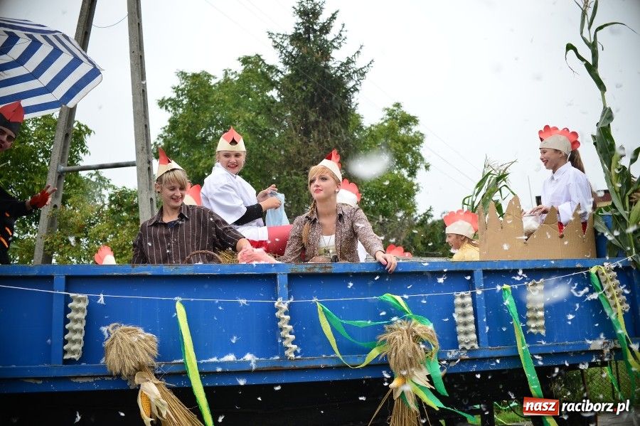 Zdjęcie w galerii na portalu naszraciborz.pl: Kolorowo i wesoło w Wojnowicach wiadomości z regionu