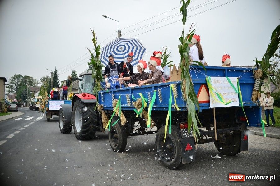 Zdjęcie w galerii na portalu naszraciborz.pl: Kolorowo i wesoło w Wojnowicach wiadomości z regionu