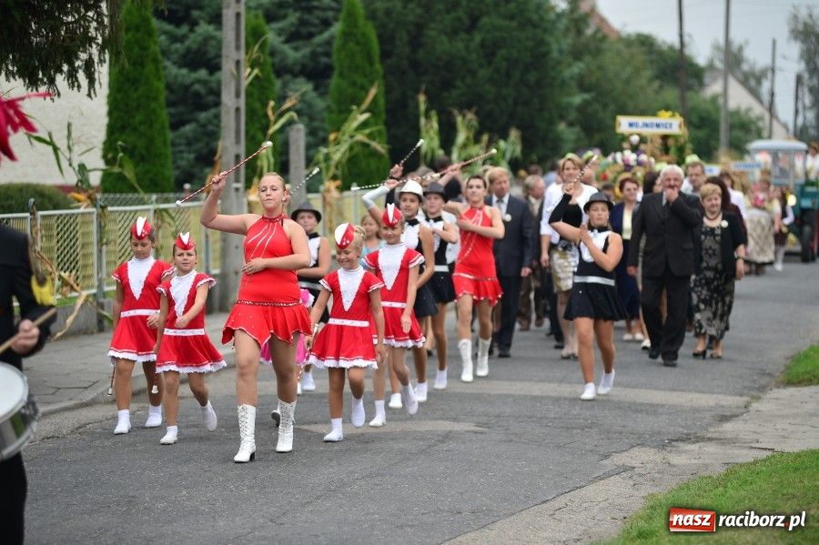 Zdjęcie w galerii na portalu naszraciborz.pl: Kolorowo i wesoło w Wojnowicach wiadomości z regionu