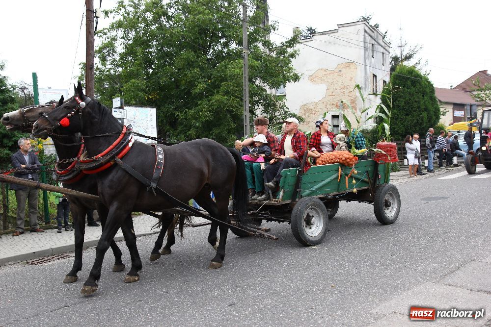 Zdjęcie w galerii na portalu naszraciborz.pl: W Kobyli dziękowali za plony wiadomości z regionu