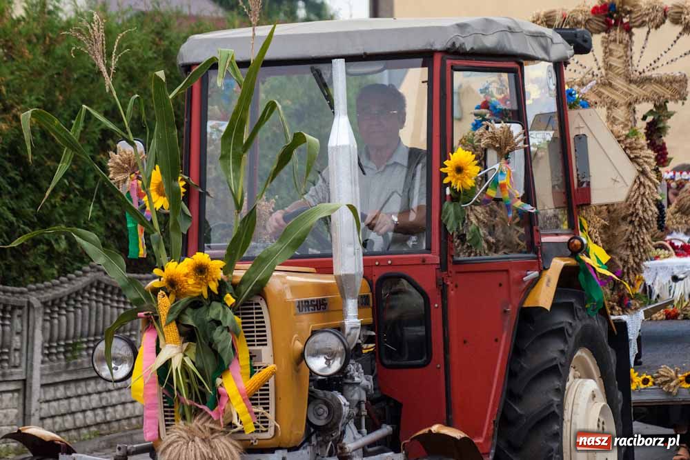 Zdjęcie w galerii na portalu naszraciborz.pl: Czy słońce, czy deszcz w Owsiszczach... wiadomości z regionu