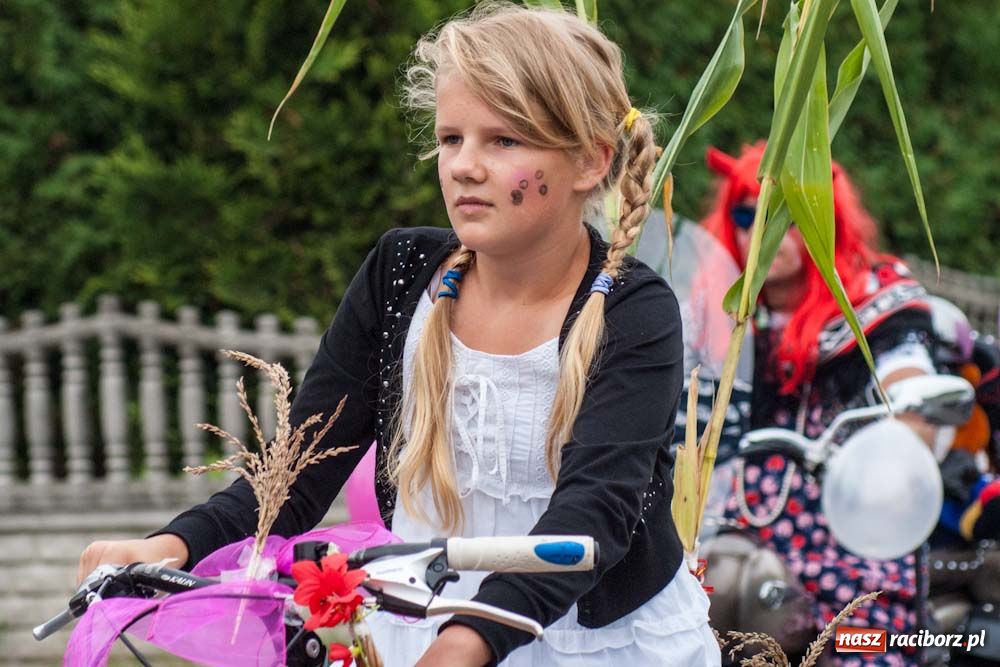 Zdjęcie w galerii na portalu naszraciborz.pl: Czy słońce, czy deszcz w Owsiszczach... wiadomości z regionu