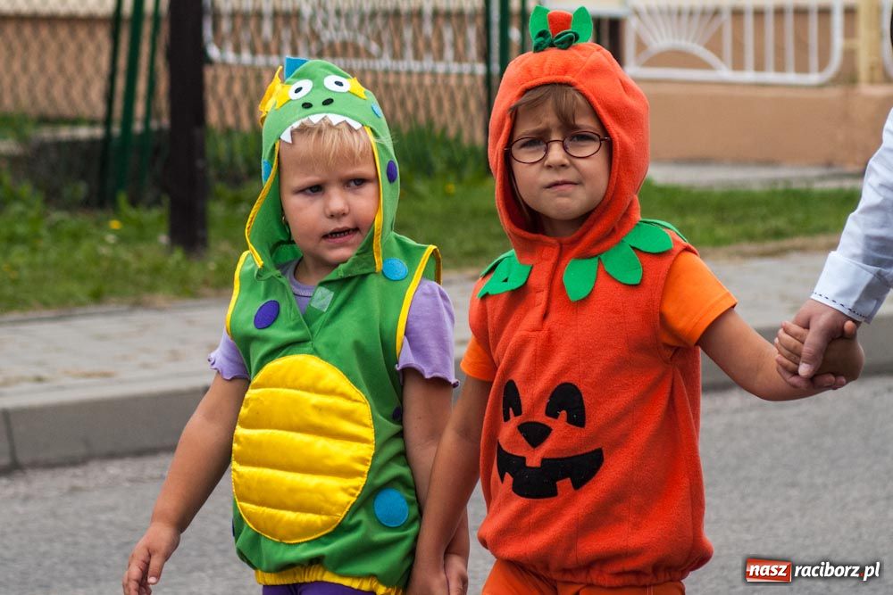 Zdjęcie w galerii na portalu naszraciborz.pl: Czy słońce, czy deszcz w Owsiszczach... wiadomości z regionu
