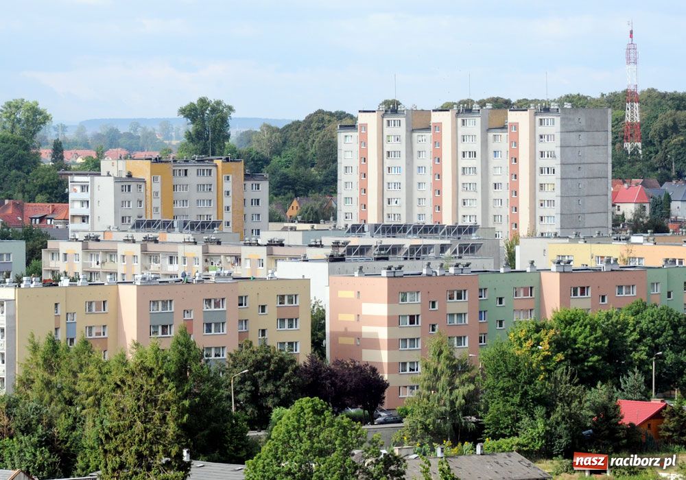 Zdjęcie w galerii na portalu naszraciborz.pl: Ensol laureatem konkursu GreenEvo wiadomości z regionu