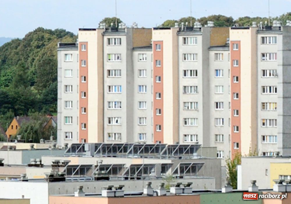 Zdjęcie w galerii na portalu naszraciborz.pl: Ensol laureatem konkursu GreenEvo wiadomości z regionu