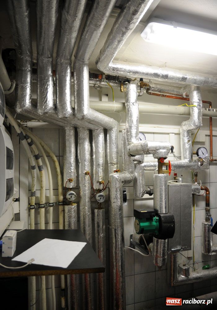 Zdjęcie w galerii na portalu naszraciborz.pl: Ensol laureatem konkursu GreenEvo wiadomości z regionu