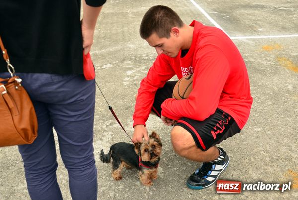 Zdjęcie w galerii na portalu naszraciborz.pl: Streetball coraz bardziej popularny wiadomości z regionu