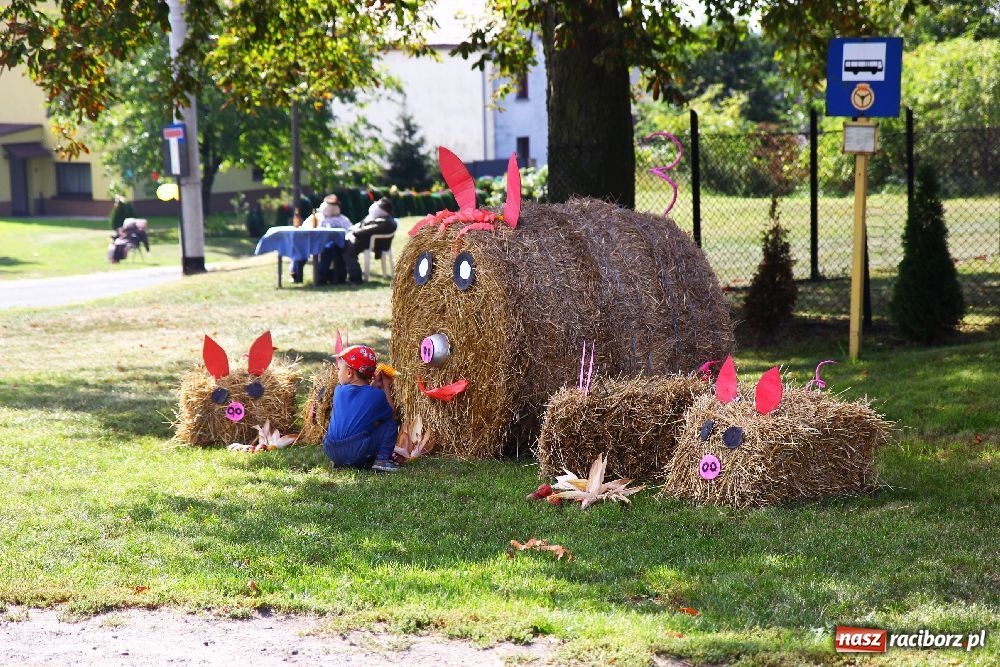 Zdjęcie w galerii na portalu naszraciborz.pl: Dożynki wiejskie w Makowie wiadomości z regionu