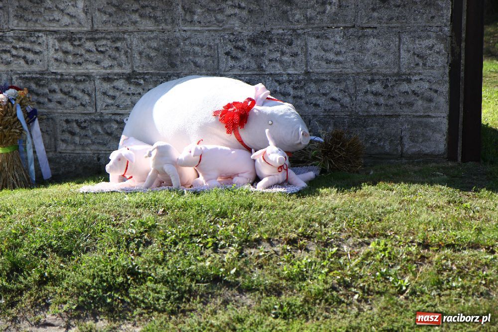 Zdjęcie w galerii na portalu naszraciborz.pl: Dożynki wiejskie w Makowie wiadomości z regionu
