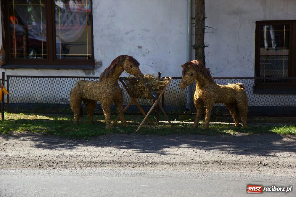 Zdjęcie w galerii na portalu naszraciborz.pl: Dożynki wiejskie w Makowie wiadomości z regionu