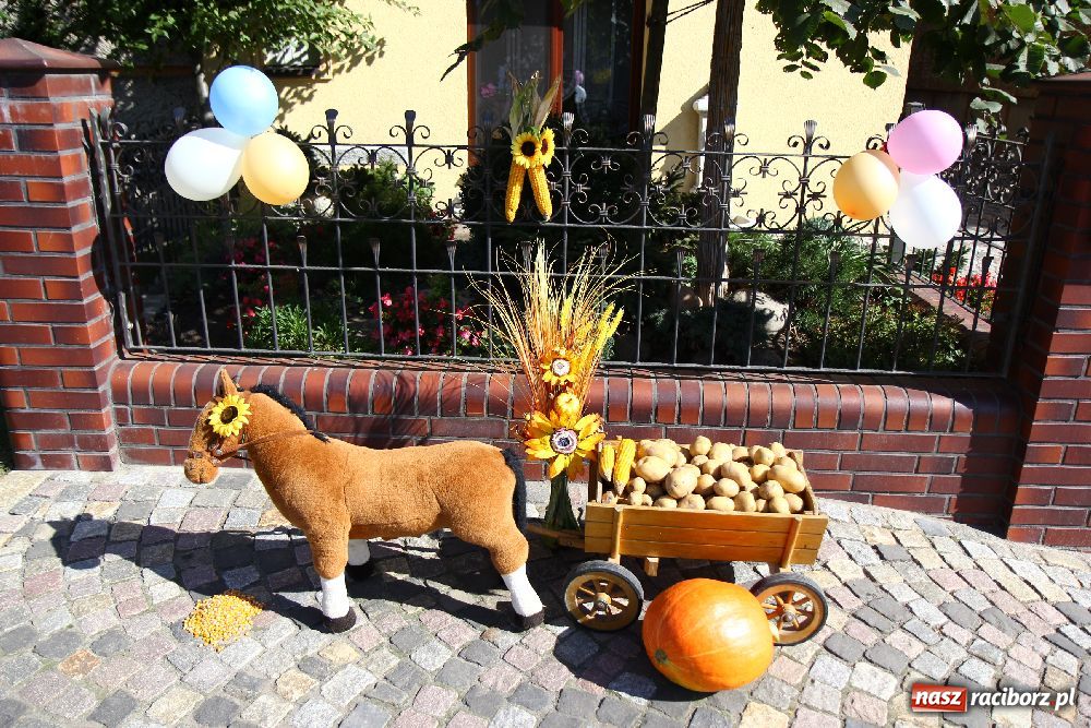 Zdjęcie w galerii na portalu naszraciborz.pl: Dożynki wiejskie w Makowie wiadomości z regionu