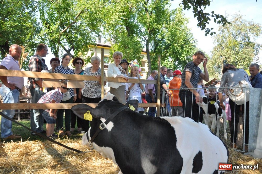 Zdjęcie w galerii na portalu naszraciborz.pl: Tłumy na dożynkach w Krzyżanowicach wiadomości z regionu