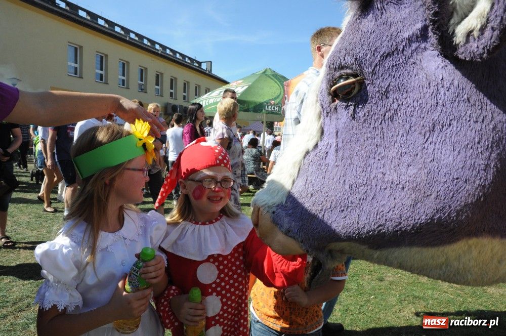 Zdjęcie w galerii na portalu naszraciborz.pl: Tłumy na dożynkach w Krzyżanowicach wiadomości z regionu